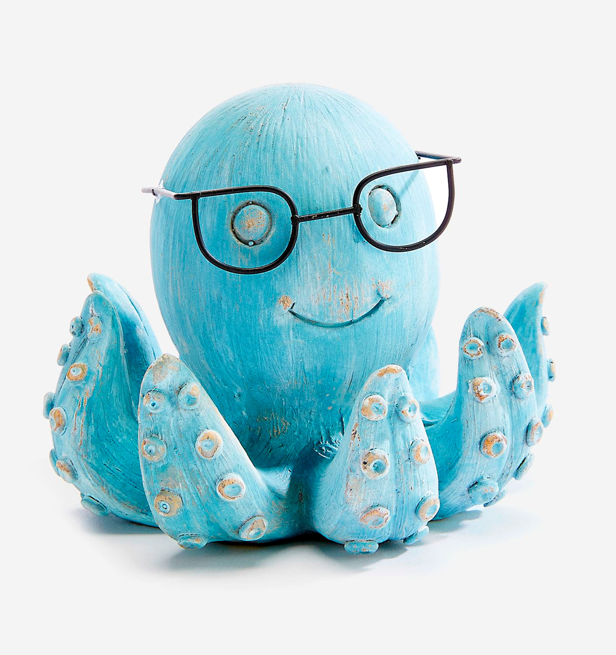 Octopus with Spectacles