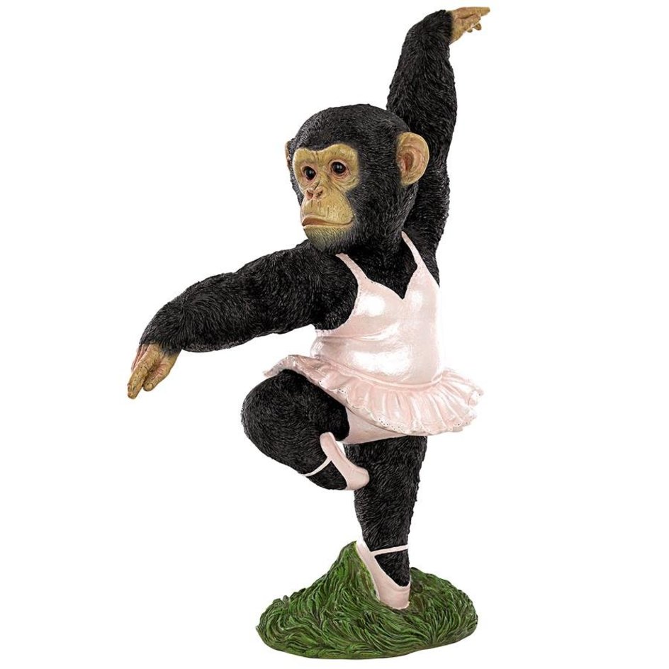 Chimp Ballerina Monkail