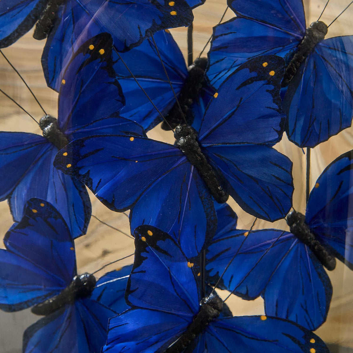 Blue Butterflies in Oval Dome