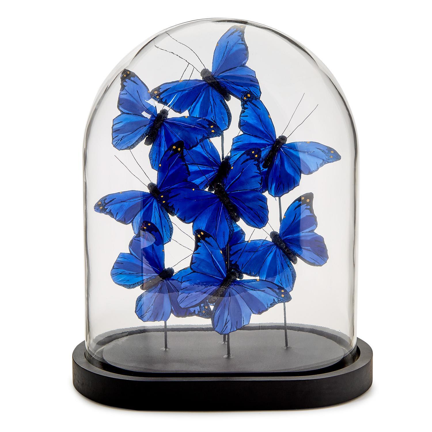 Blue Butterflies in Oval Dome