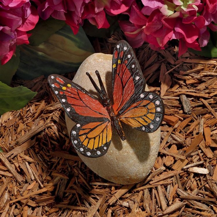 Viceroy Monarch Butterfly on Rock