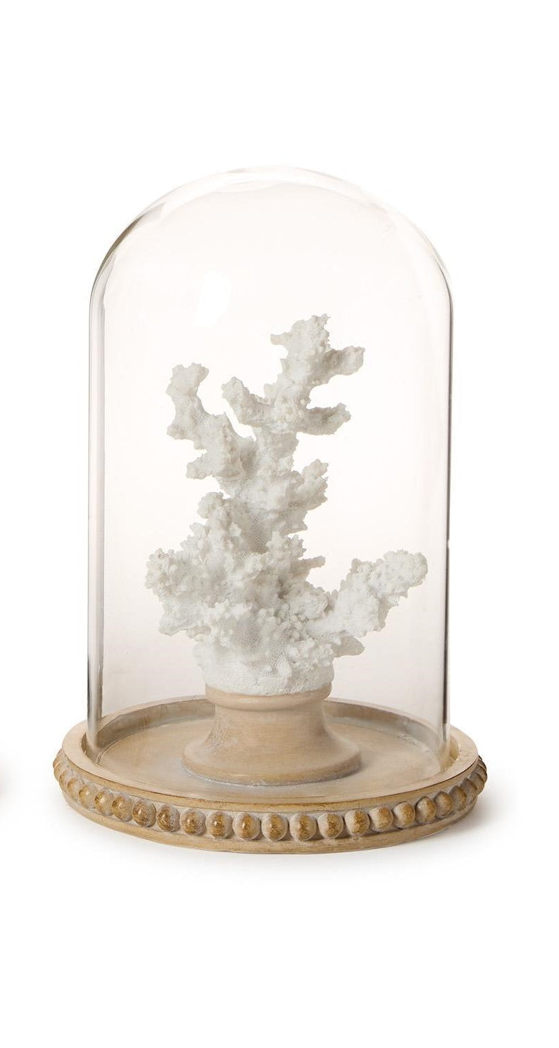White Coral Sculptures in Round Dome