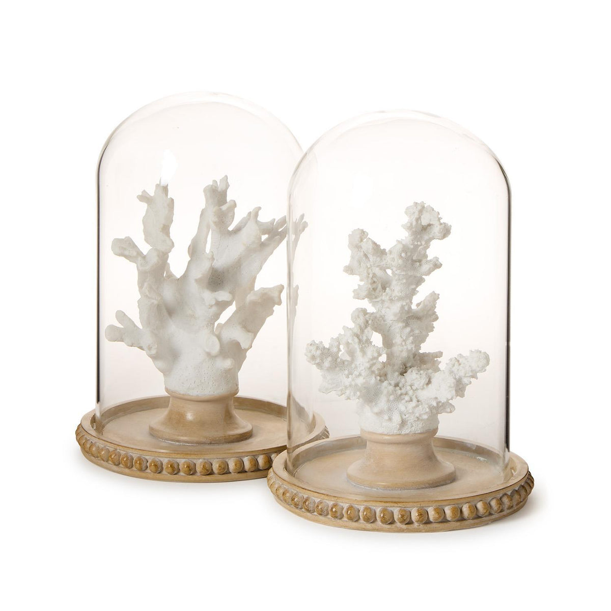 White Coral Sculptures in Round Dome