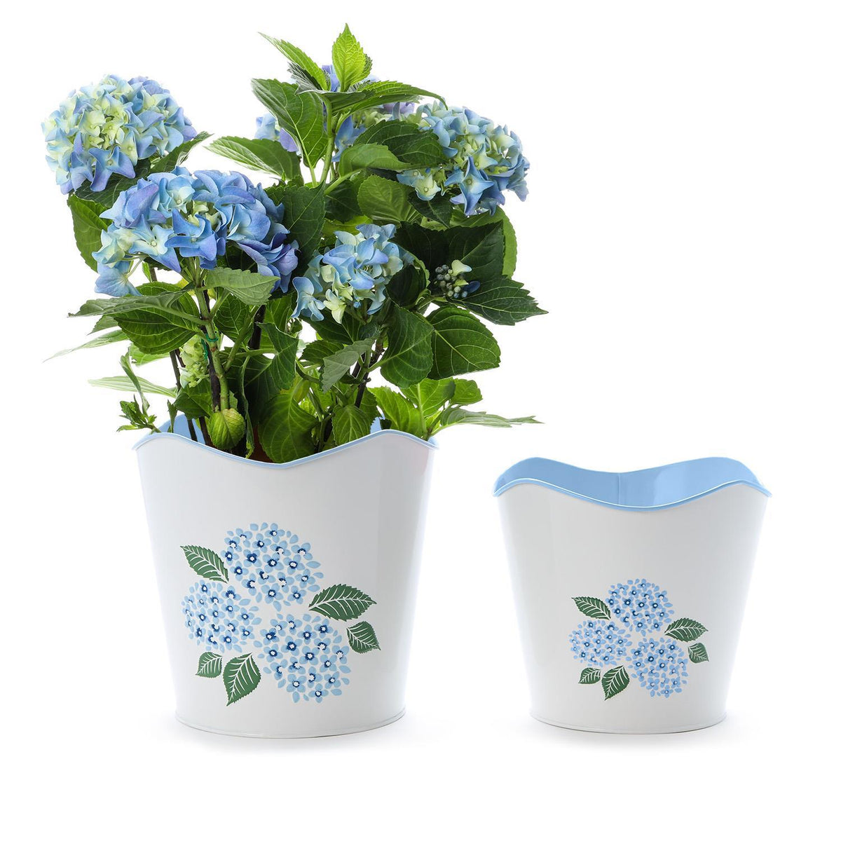 Blue Hydrangea Cachepots S/2