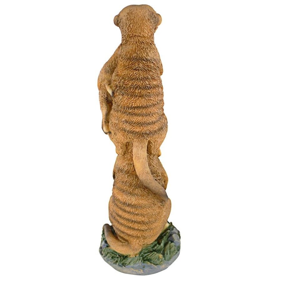 Meerkat Family