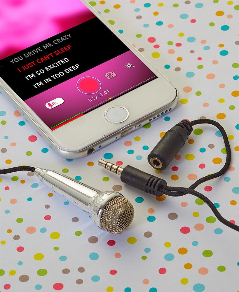 Karaoke Mini Microphone