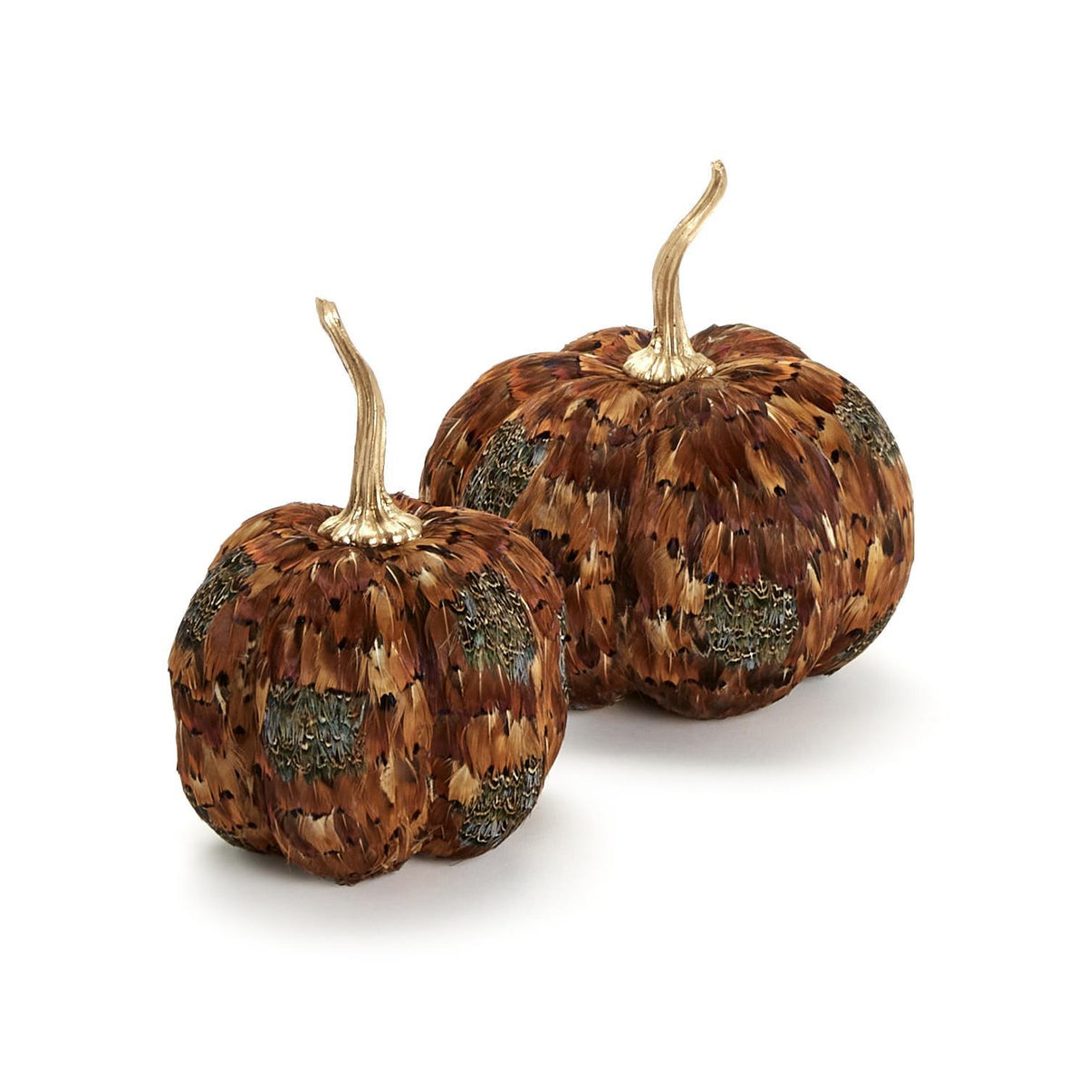 Pheasant Feather Pumpkins S/2
