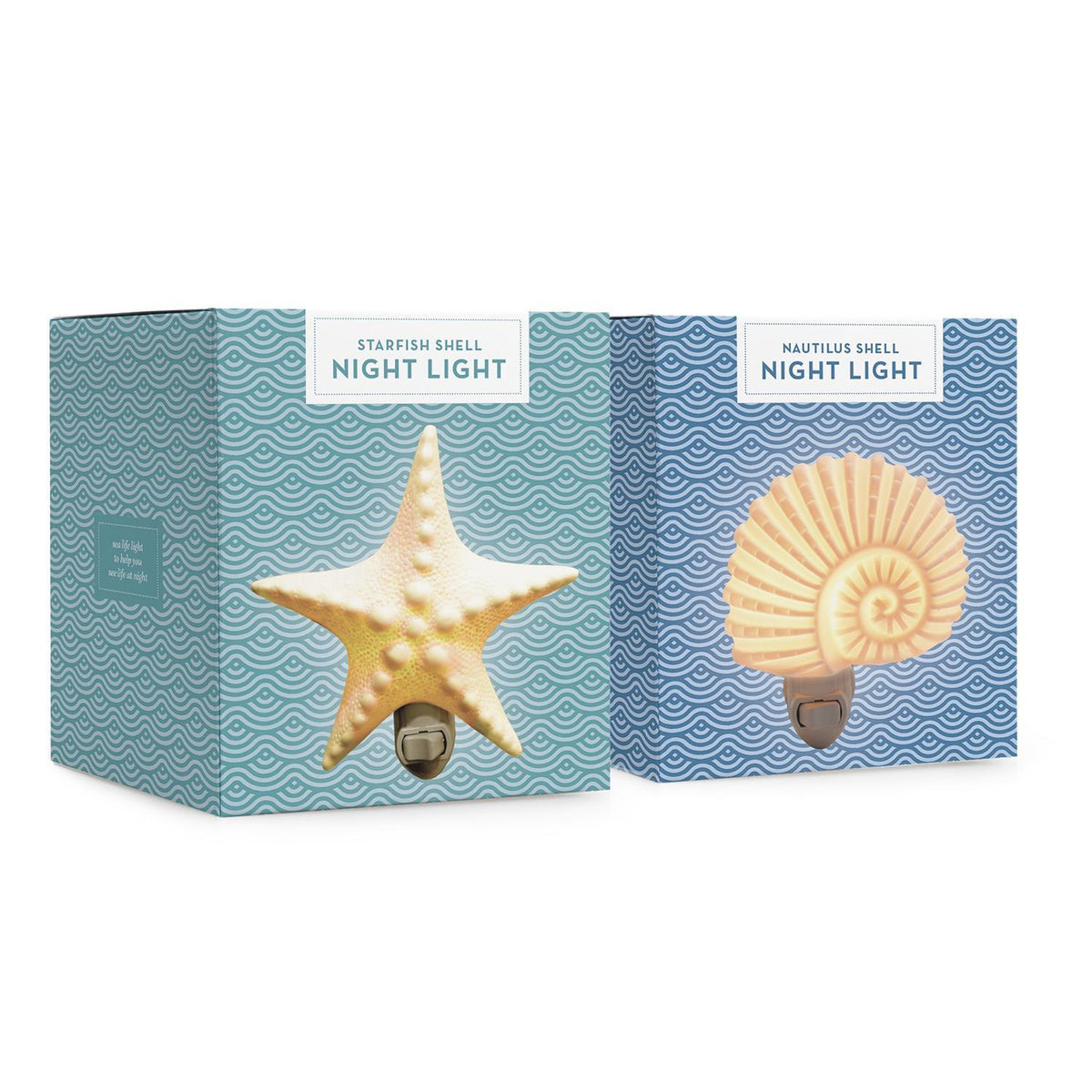 Seashell Night Lights