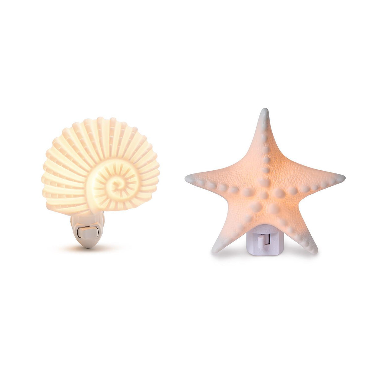 Seashell Night Lights
