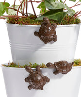 Brown Turtle Pot Huggers Set of 3