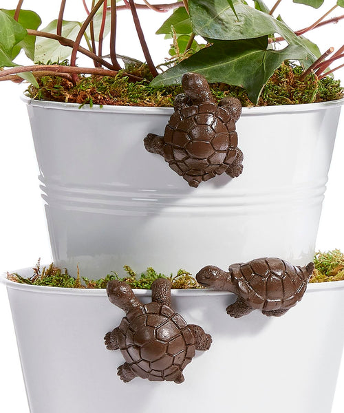 Brown Turtle Pot Huggers Set of 3