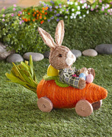 Mr. Bunny's Carrot Car