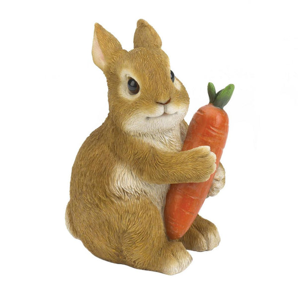 Bunny and Carrot | Bunny with Carrot for Garden | AMP's Market Place