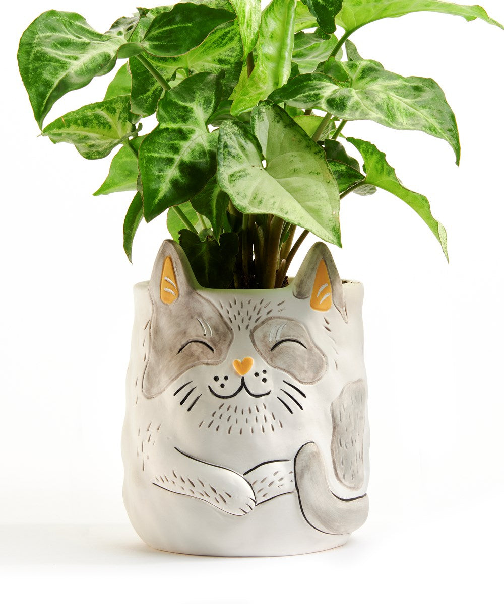 Cat Garden Planter | Cat Shape Planter | AMP's Market Place