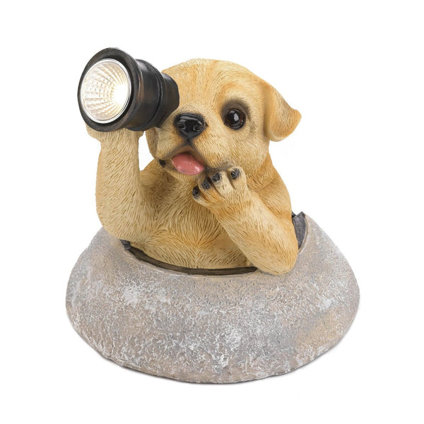 Dog with Telescope