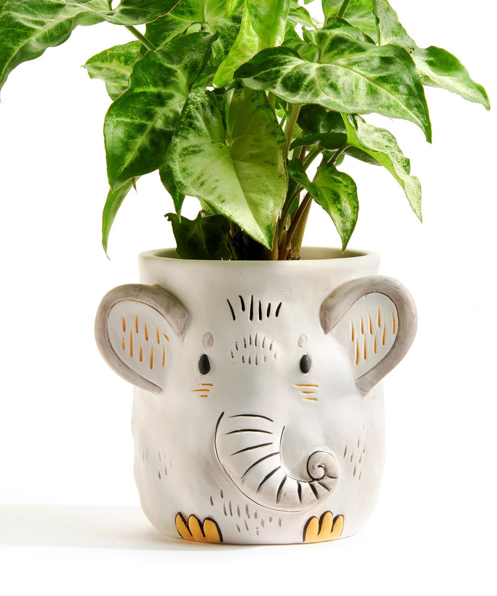 Elephant Planter