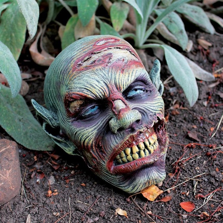 Lost Zombie Head