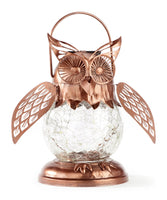 Owl Solar Lantern