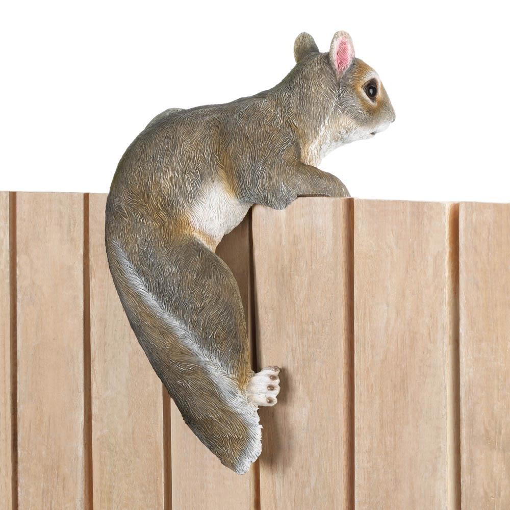 Climbing Cutie - Chip the Squirrel